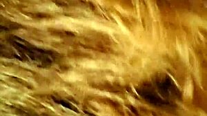 Milf Sucking Her Step Son's Cock Hard