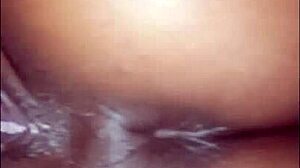 sweet moans of alicinha as dick fucks her big ass