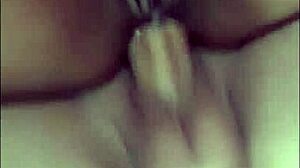 sweet moans of alicinha as dick fucks her big ass