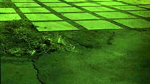 Teen Threesome Squirts During Striptease