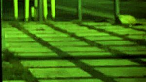 Teen Threesome Squirts During Striptease