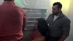 GenderX - Wild Transsexual Orgy After Clubbing All Night!