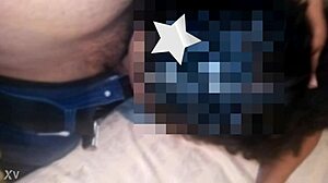 my little pet enjoys oral play