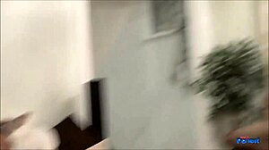 Beguiling brunette lolly c enjoys extreme sex with blowjob and doggystyle 😏