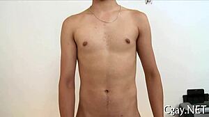 Homosexual Furry Porn Pictures