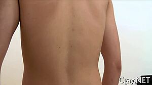 Homosexual Furry Porn Pictures