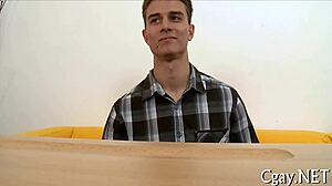 Homosexual Furry Porn Pictures