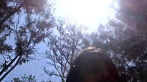 Gaygory hisap dan tebuk kote meksiko di tempat awam