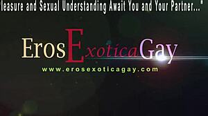 Learning to Connect with Your Gay Partner