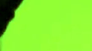 มะม่วงญี่ปุ่นหัดถีบด้วยความรุนแรงป่าเถื่อน