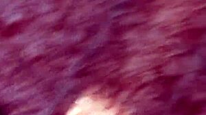 blonde enjoys barbecue and intimate moments