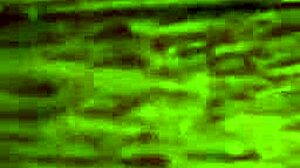 i'm licking these dirty feet all over