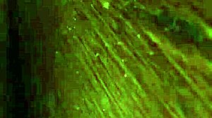 i'm licking these dirty feet all over