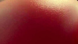 mercy pmv 2023