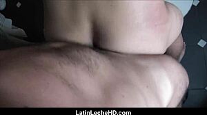 Heteromies tienaa homopussilla