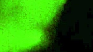 Bbc Monster Cock Joi Jerking Off With Big Cumshot On Balls