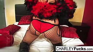 Charley Chase Poses In Lingerie And Stockings For A Brunette Solo Session