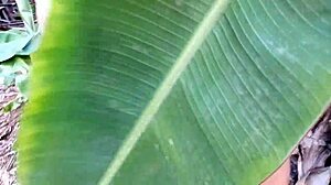 the cute little brunette got her tight ass filled in wild gangbang