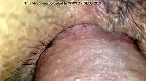 De Perrito I Drive My Whole Cock Deep Inside