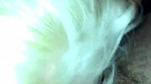 I watch slutty wife giv sexy blowjob