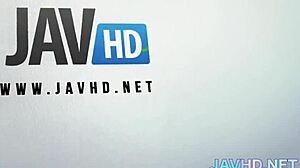 Sexy Asian Milf Compilation Hd Blowjobs And Hardcore