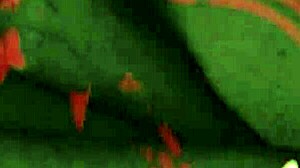 Explore The Wonderful World Of Vintage Threesomes With Hairy Pussies