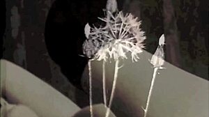 I explore two centuries of vintage photography from 19th and 20th century