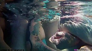 Three Transsexuals With Long Hair Enjoy Outdoor Party Activities