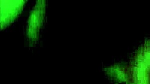 my BJ vids featuring GROUP cumshots and FACIALS