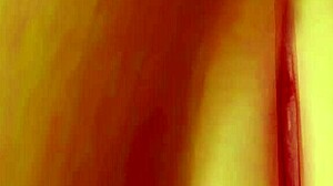 DOA5滨崎瞳写真工作室 - 热辣的屁股特写镜头