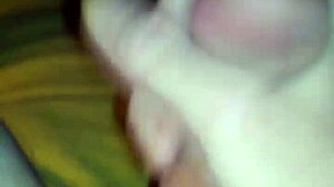 Video recorded on February 2, 2015 at 2:23 AM