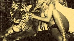 Top 20 Auswahl geiler Schönheiten und wilder Bestien