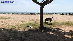 Di balik layar Lisa Fox cukur kepala berani