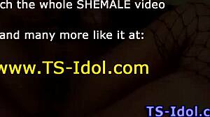 젠장! 셰말 트랜니 자지 빨다 핫한 쓰리섬!