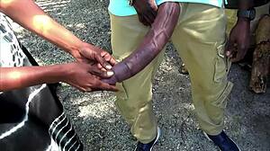 Kote Hitam Besar Berkelip Di Hentian Bas Awam