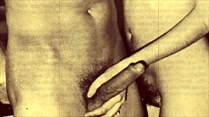 taboo family secrets unfold with vintage step sister