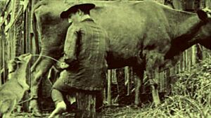 Dark Lantern Entertainment tuo vintage eroottisia tunnustuksia. Suoraan viktoriaanisen herrasmiehen salaisesta elämästä!