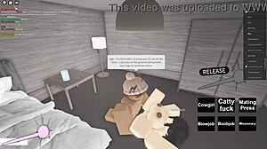 Ride the monster cock cowgirl, suck it, then missionary fuck