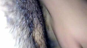 Home Encounter In The Early Morning