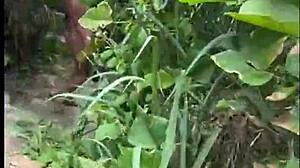 Cewek muda berbintik wajah merah dan blonde cantik dengan tits besar ditangkap sebagai tersangka di kasus polisi