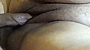 naughty brazilian couple gets wild with anal in part 7.