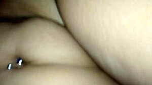 pammira