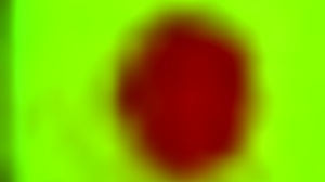 the comoner business in wild 3d action