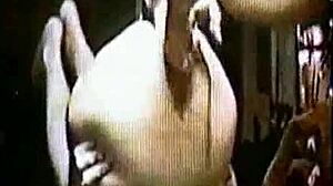 How I Trained My Dizzy Blond Daughter