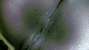 taylor starr nude farting on chairs