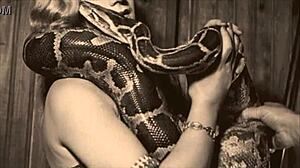 Vintage Taboo Scene with Hairy Pussy and Doggystyle Outdoor Action