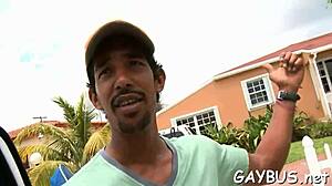 Discover Emotional Connections In Gay Porn