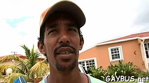 Discover Emotional Connections In Gay Porn