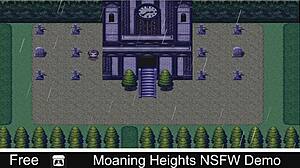 This moaning heights NSFW demo is hot in 3D porn.
