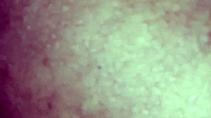 My Straight Friend Discovers Gay Pleasures in a Hot, Passionate Session with Me